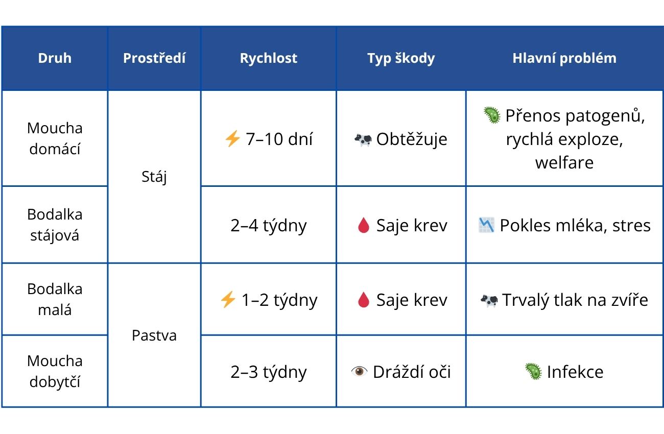 Mouchy - rozdělení-new